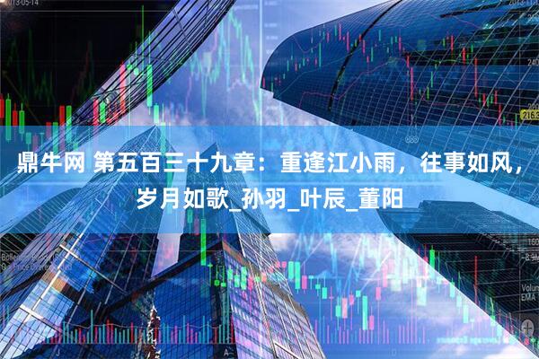 鼎牛网 第五百三十九章：重逢江小雨，往事如风，岁月如歌_孙羽_叶辰_董阳