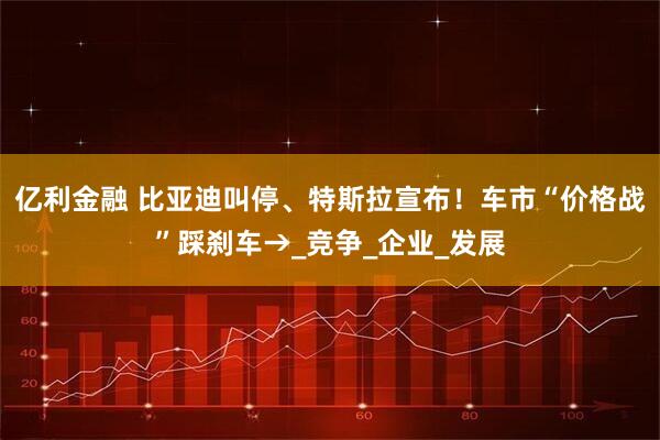 亿利金融 比亚迪叫停、特斯拉宣布！车市“价格战”踩刹车→_竞争_企业_发展